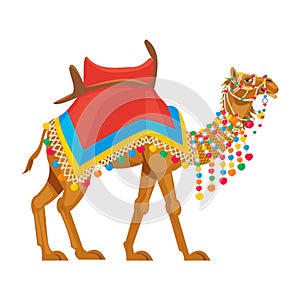 Beautiful decorated camel