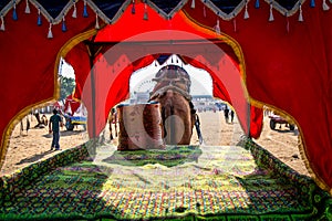 Beautiful Decorated empty Camel cart for desert safari ride during Camel fair festival in Pushkar, Rajasthan, India