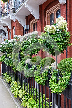 Beautiful decorated fence in Kensington, London photo