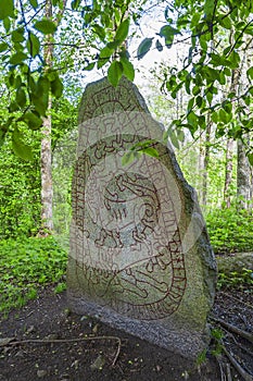 Beautiful decorated Runestone from the Viking Age in the woodland