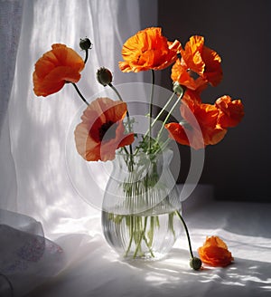 beautiful decoration red bouquet background sunshine flower poppy design vase floral. Generative AI.