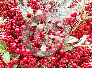 Beautiful decorative Christmas and Happy New Year composition of pine branch, pine cones and red viburnum berries in the snow.