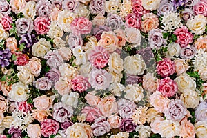 Beautiful Decorative Colorful Roses Background