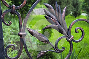 Beautiful decorative elements of wrought iron fence