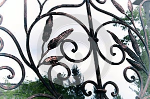 Beautiful decorative elements of wrought iron gates