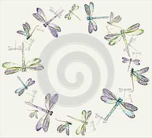 Beautiful decorative framework with dragonfly.Gree