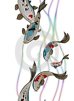 Beautiful decorative japanese carp koi  fish set Cyprinus carpio Colorful fish on white background. Watercolor painting.