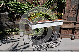 Beautiful Decorative Wagon Filled with Flower Pots and Plants