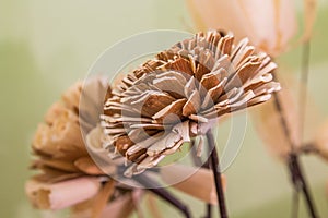 Beautiful decorative wood flower
