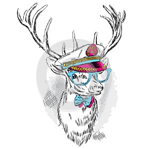 Beautiful deer in the captains cap, glasses and tie.