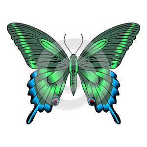 Beautiful, delicate, airy, elegant butterfly, green. Vector graphics on a white background.