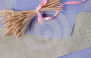 Beautiful delicate bouquet with pink ribbon of dried wheat ears on the table with a purple sheet of paper