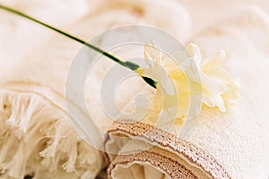 A beautiful delicate flower lies on a towel in a beauty salon, horizontal image