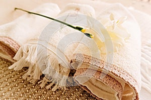 A beautiful delicate flower lies on a towel in a beauty salon, horizontal image