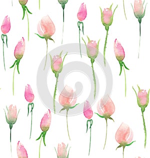 Beautiful delicate tender cute elegant lovely floral colorful spring summer pink and red roses with buds and leaves bouquet waterc