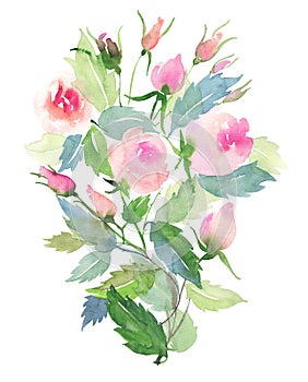 Beautiful delicate tender cute elegant lovely floral colorful spring summer pink and red roses with buds and leaves bouquets patte