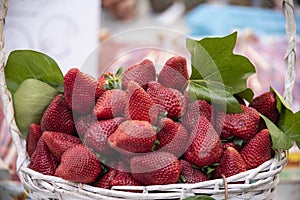 Beautiful and delicious basket of strawberries put on sale to the public in a rural market in full season of consumption of this h
