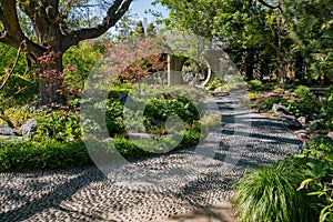 The beautiful Denver Botanic Gardens