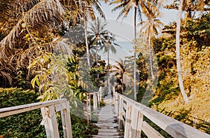 A beautiful descent wooden staircase through the jungle down to the beach. A beautiful view opens through palm trees to the ocean