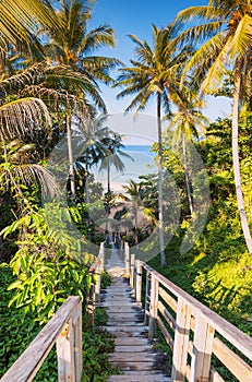 A beautiful descent wooden staircase through the jungle down to the beach. A beautiful view opens through palm trees to the ocean