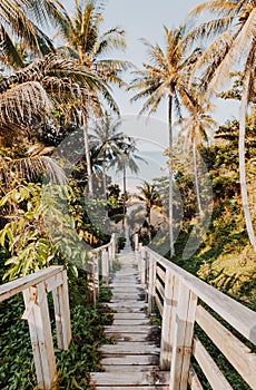 A beautiful descent wooden staircase through the jungle down to the beach. A beautiful view opens through palm trees to the ocean