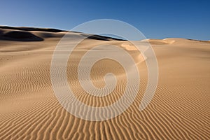 Bellissimo deserto 