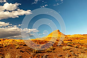 Beautiful desert landscape shining like gold in the evening sun, The Chains, Page, Arizona, USA