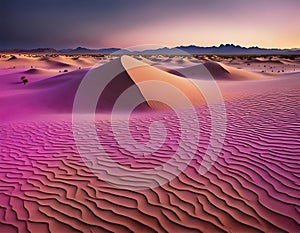 Beautiful desert landscape at sunset