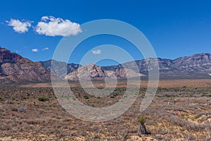 The beautiful desert landscape, the vegetation and the mountains of Nevada, USA.