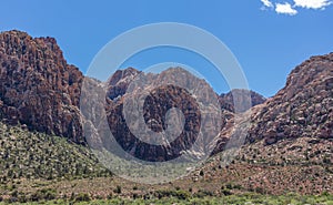 The beautiful desert landscape, the vegetation and the mountains of Nevada, USA.