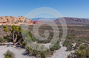 The beautiful desert landscape, the vegetation and the mountains of Nevada, USA.