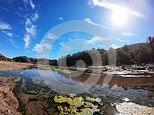 Beautiful Desert oasis landscape in Oasis De Fint near Ourzazate in Morocco, North Africa