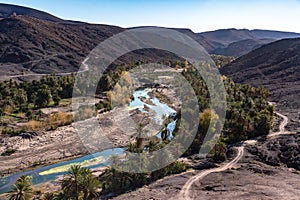 Beautiful Desert oasis landscape in Oasis De Fint near Ourzazate in Morocco, North Africa