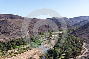 Beautiful Desert oasis landscape in Oasis De Fint near Ourzazate in Morocco, North Africa