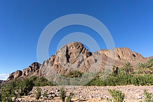 Beautiful Desert oasis landscape in Oasis De Fint near Ourzazate in Morocco, North Africa