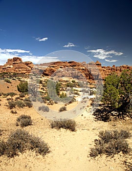 Beautiful Desert Scene and Rock Formations