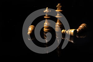 Beautiful and detailed chess pieces photo