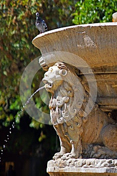Beautiful details of the Morosini Fountain in Heraklion