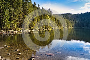Beautiful Devil`s Lake in the Bohemian Forest, Czech Republic