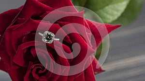 beautiful diamond ring on a red rose petal