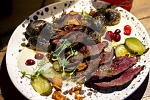 A beautiful dish with fried meat steak cut into slices and decorated with cranberries, cucumbers, herbs