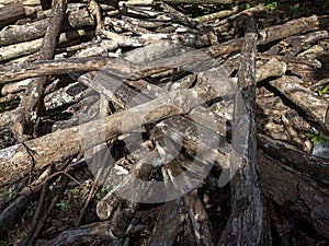 a beautiful, disorderly pile of wood