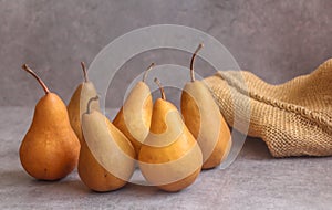 A beautiful display of ripe Bosc or `The BeurrÃƒÂ© Bosc` pears with long tapering neck and russeted skin.