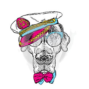 Beautiful dog in the captain`s cap, glasses and tie.