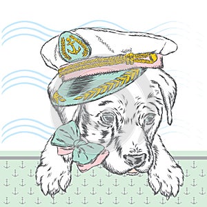 Beautiful dog in the captain`s cap, glasses and tie.