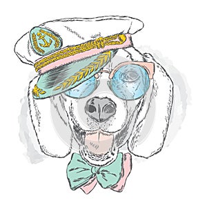 Beautiful dog in the captain`s cap, glasses and tie.