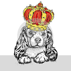 Beautiful dog in the crown. Cute Spaniel. Purebred puppy. Vector illustration for a postcard or a poster, print for clothes.