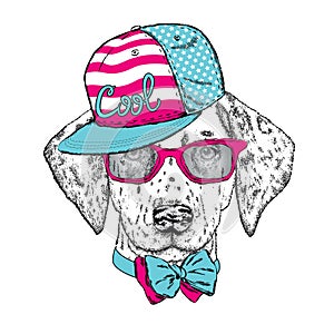Beautiful dog with glasses, cap and tie. Vector illustration. Cute Dalmatians. Puppy.