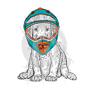 A beautiful dog in a motorcycle helmet. Purebred puppy. Vector illustration for a postcard or a poster.