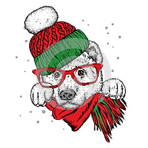A beautiful dog in a scarf and hat. Vector illustration for a postcard or a poster. Purebred puppy. Sheepdog or Alabai.